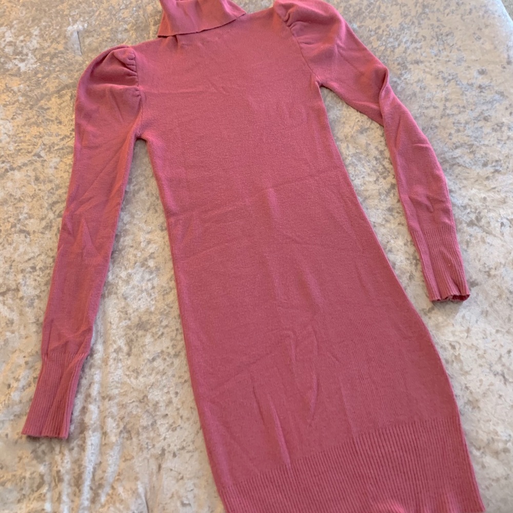 Sweater turtleneck dress